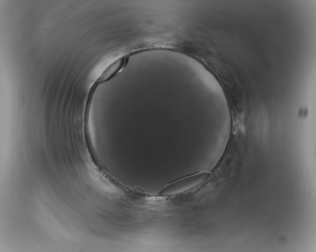 X0000112860052200909181810