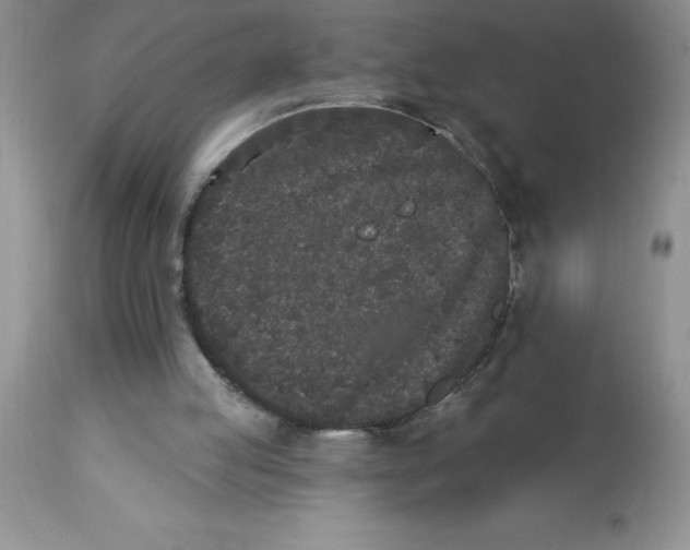 X0000112860053200909181810