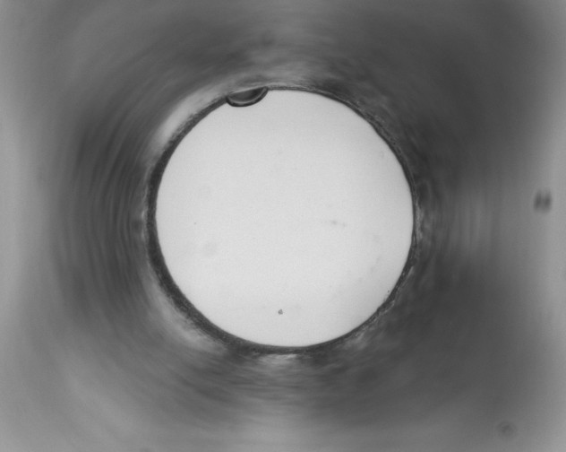 X0000112860054200909181810