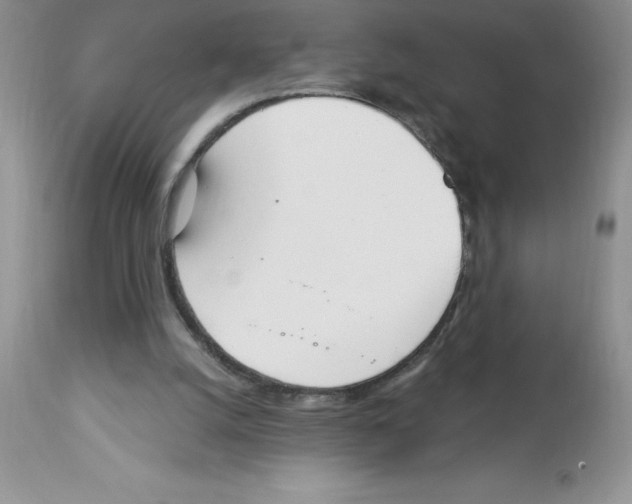 X0000112860056200909181810