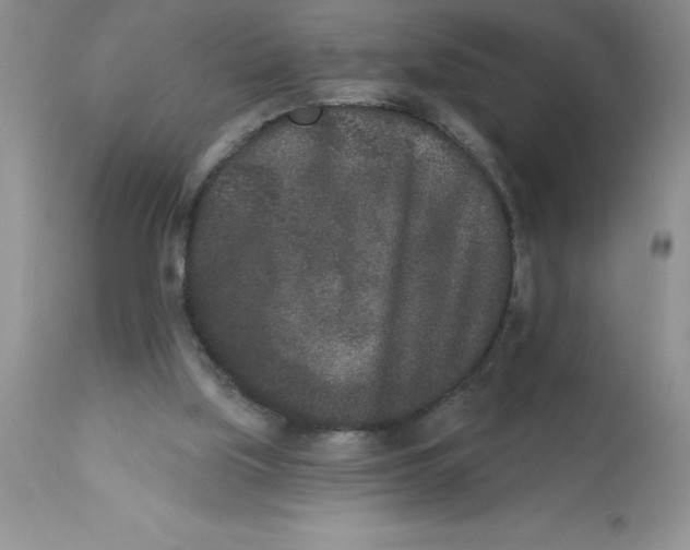 X0000112860059200909181810