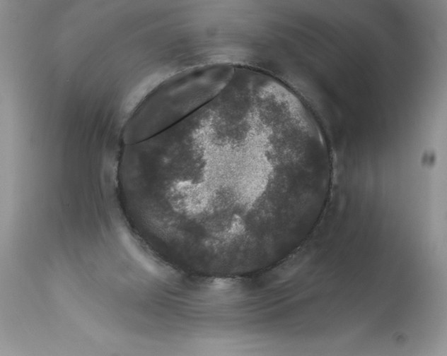 X0000112860060200909181810