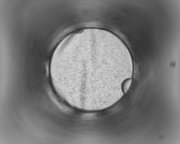 X0000112860061200909181811