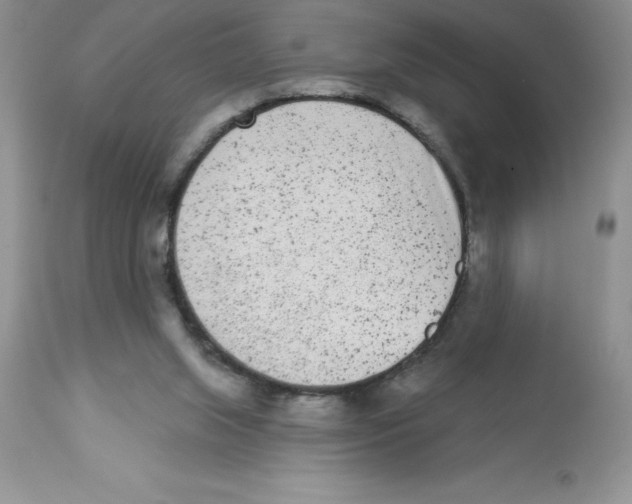 X0000112860063200909181811