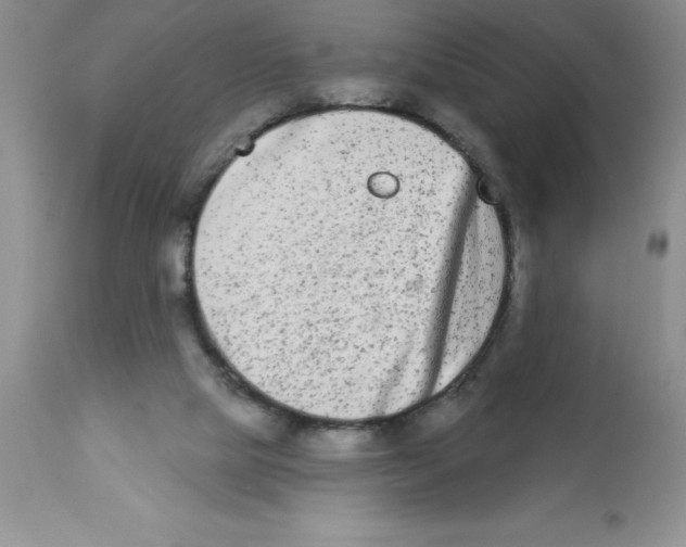 X0000112860065200909181811