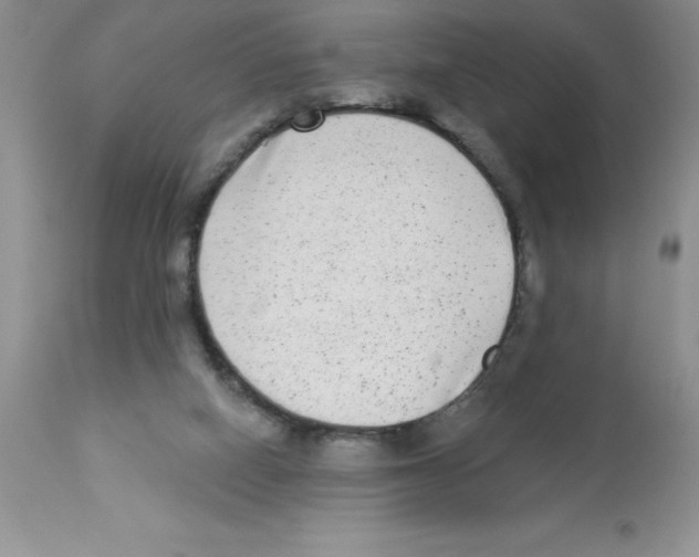 X0000112860066200909181811