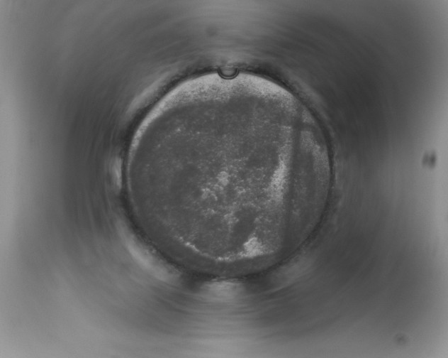 X0000112860067200909181811