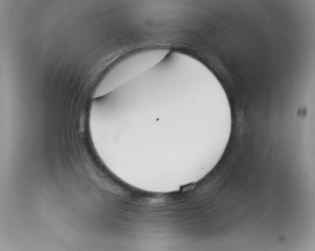 X0000112860068200909181811