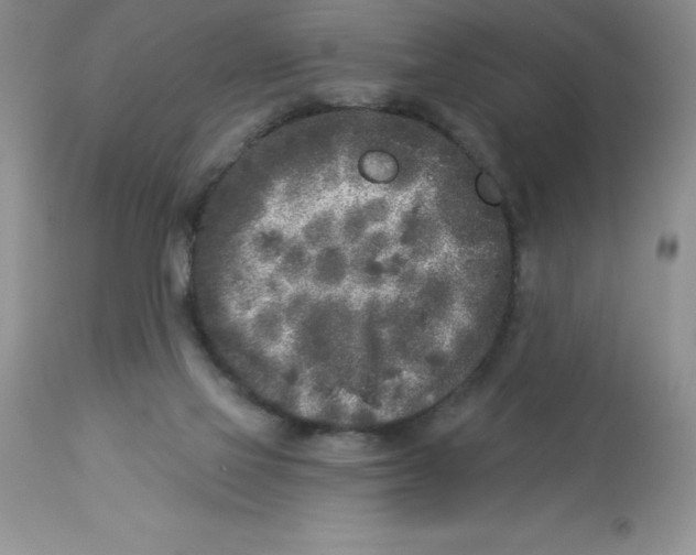 X0000112860069200909181811