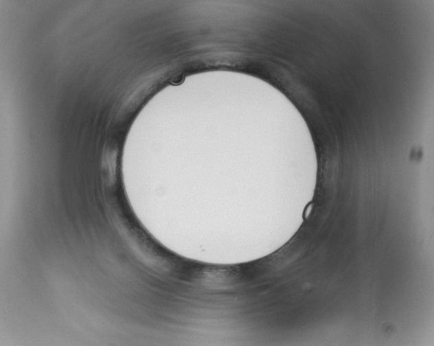 X0000112860070200909181811