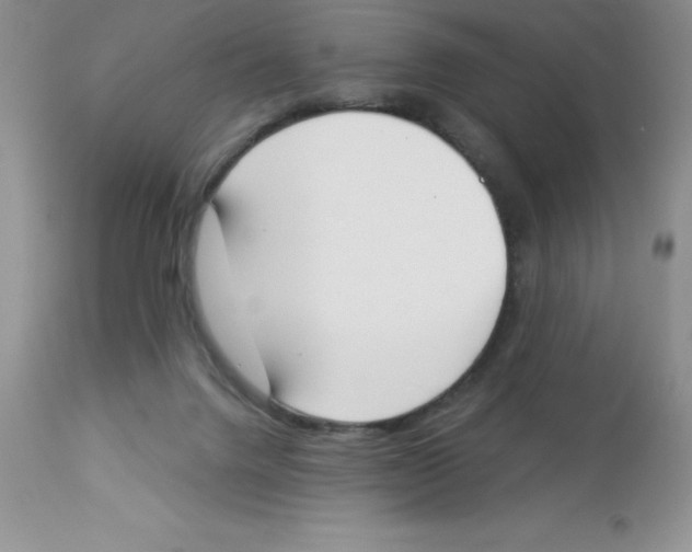 X0000112860072200909181811