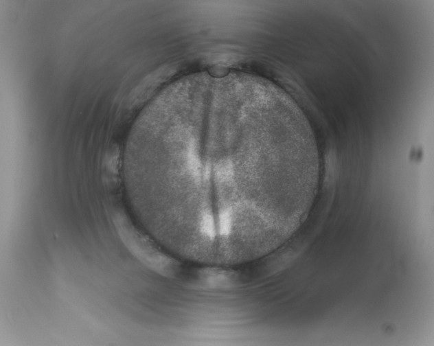 X0000112860073200909181811