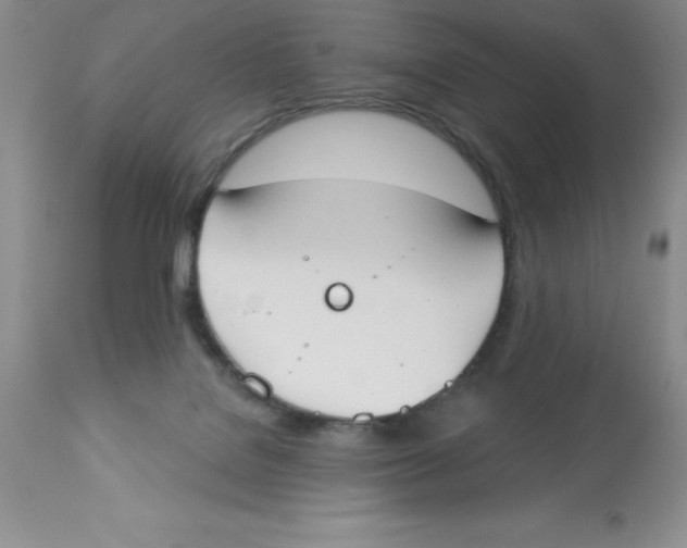 X0000112860076200909181811