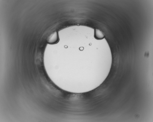 X0000112860077200909181811