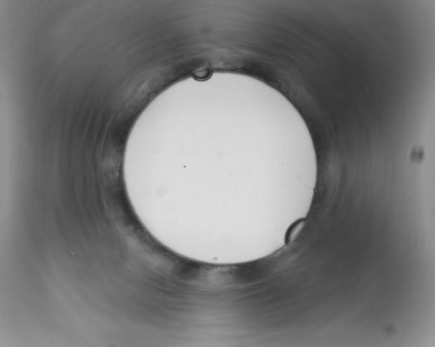 X0000112860078200909181811
