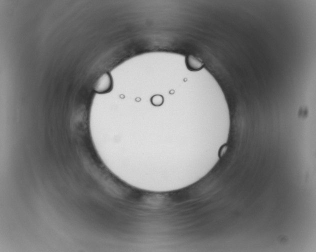 X0000112860079200909181811