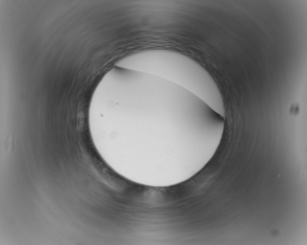 X0000112860080200909181811