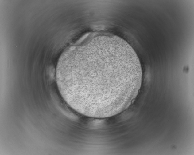 X0000112860081200909181811
