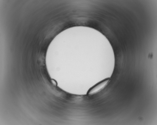 X0000112860083200909181811