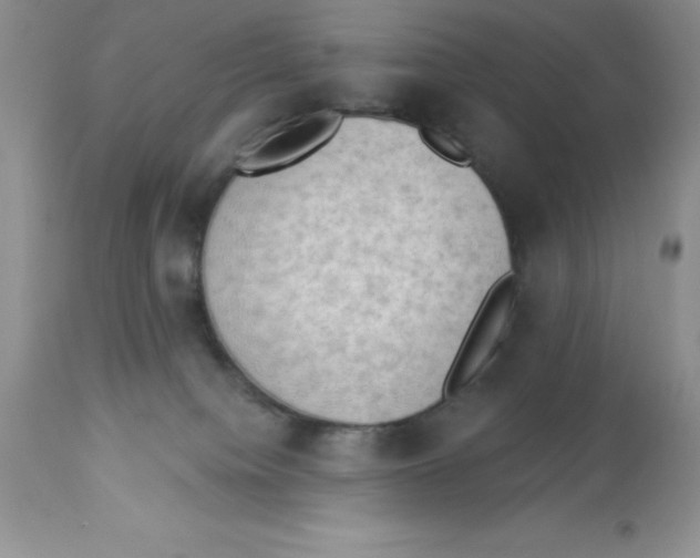 X0000112860084200909181811