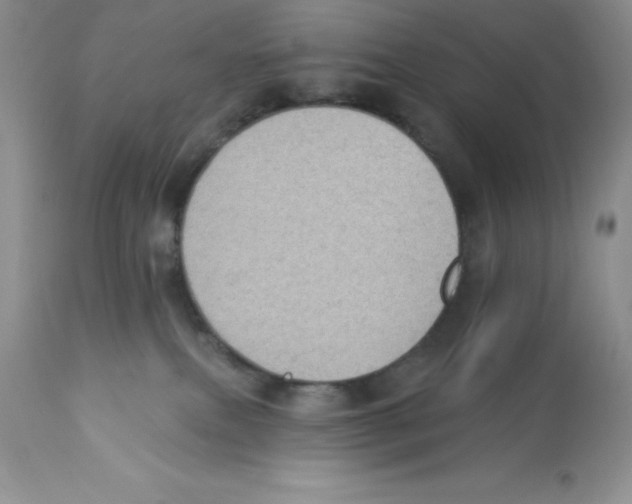X0000112860087200909181811