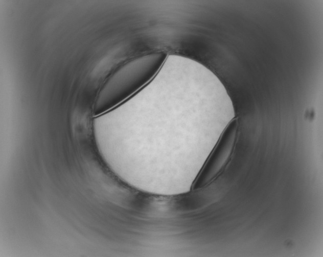 X0000112860088200909181811