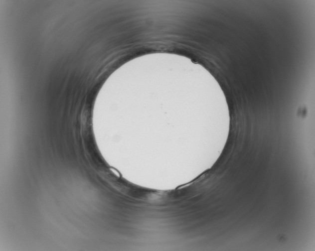 X0000112860092200909181811