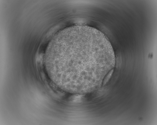 X0000112860093200909181811