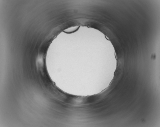 X0000112860094200909181811