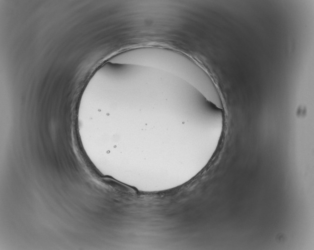 X0000112860097200909181810
