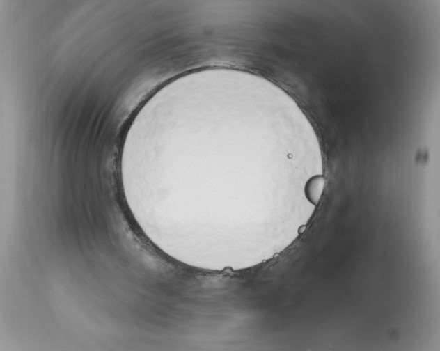 X0000112860098200909181810