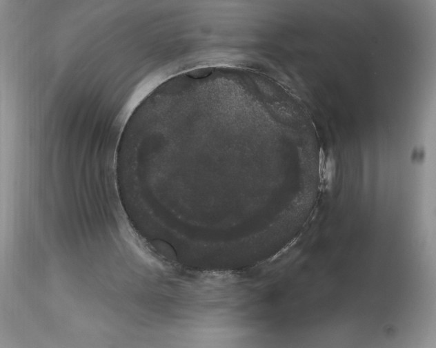 X0000112860099200909181810
