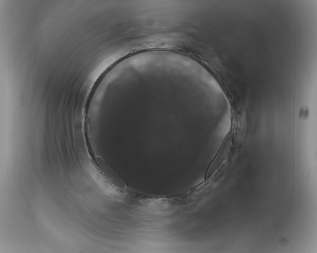 X0000112860100200909181810