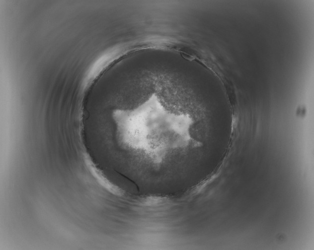 X0000112860101200909181810