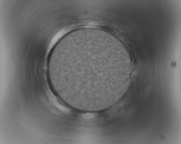 X0000112860102200909181810
