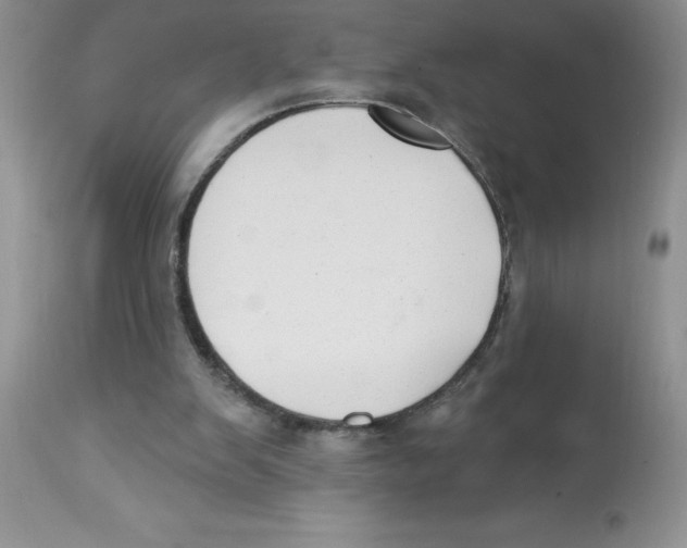 X0000112860103200909181810