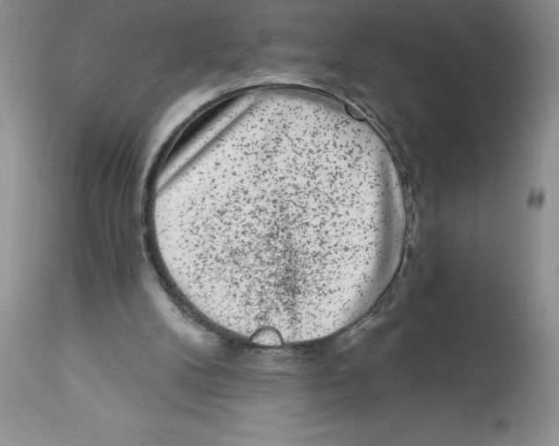 X0000112860104200909181810