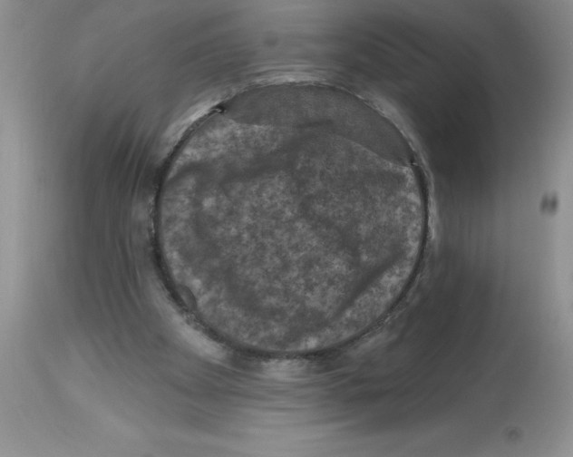 X0000112860105200909181810