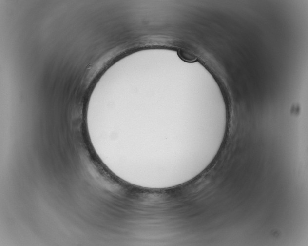 X0000112860107200909181810