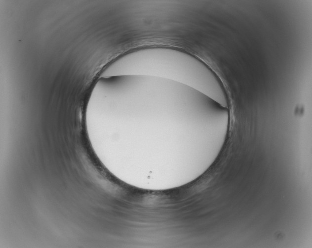 X0000112860109200909181810