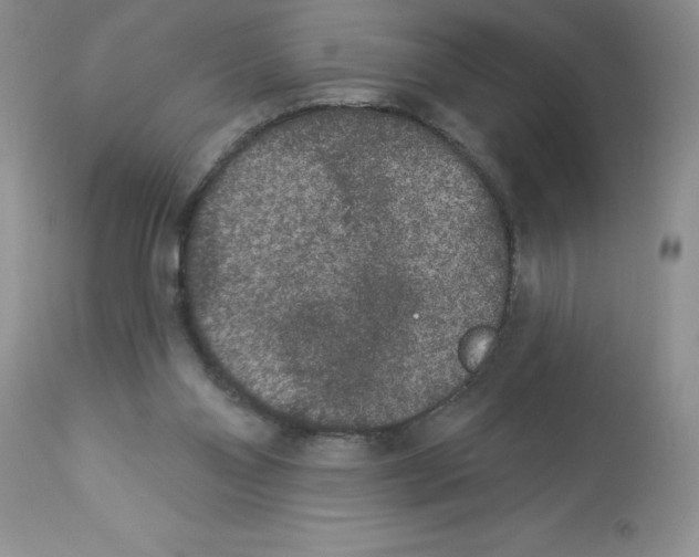 X0000112860110200909181810