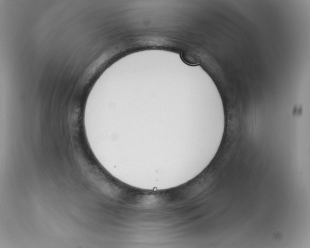 X0000112860111200909181810
