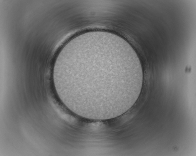 X0000112860112200909181810