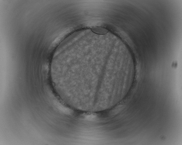 X0000112860113200909181810