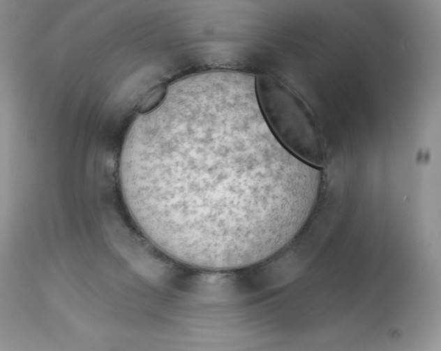 X0000112860117200909181810