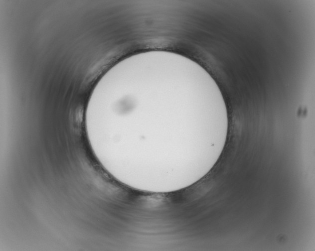X0000112860118200909181810