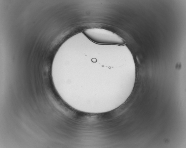 X0000112860120200909181810