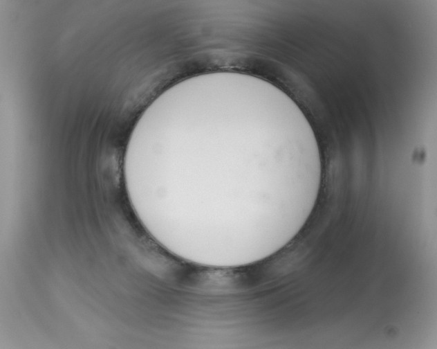 X0000112860121200909181810