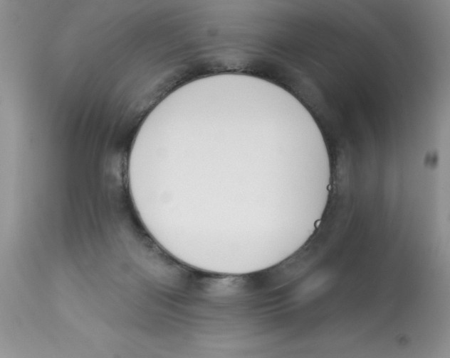 X0000112860122200909181810