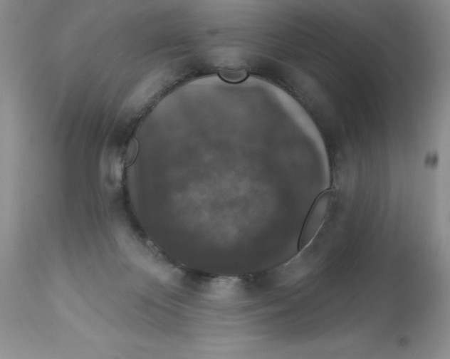X0000112860124200909181810